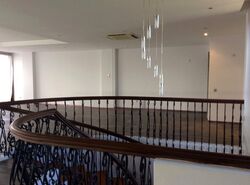 Nassim Mansion (D10), Apartment #458938861